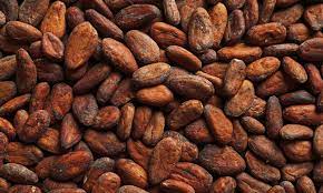 cocoa