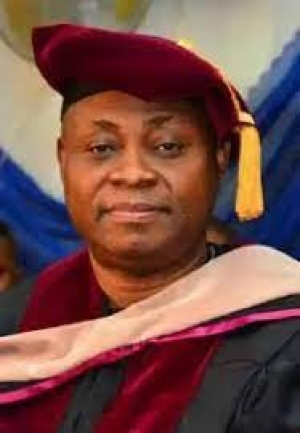 DAVIDO'S FATHER'S INVESTMENT IN POWER, VANDALIZED.