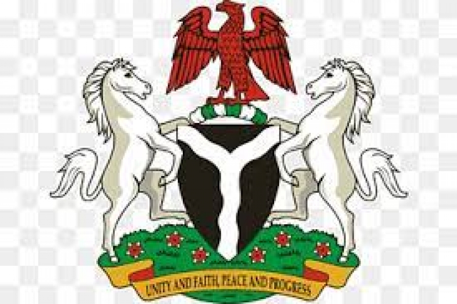 THE FEDERAL GOVERNMENT, STATES, AND LOCAL GOVERNMENT SHARED ALLOCATION