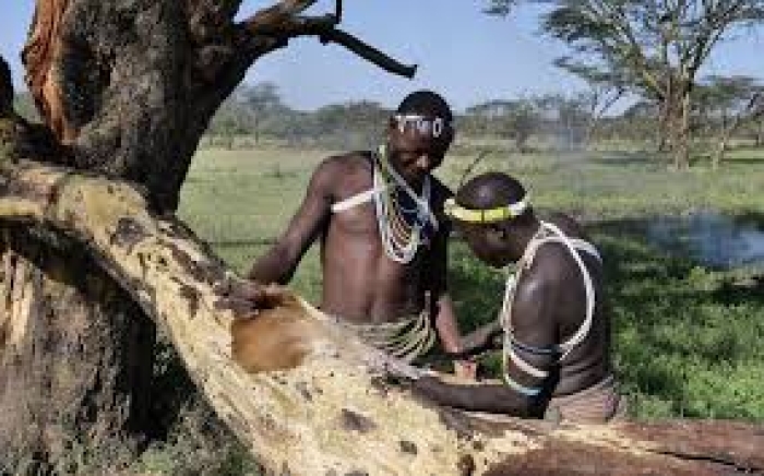 WHY TANZANIAN IS A TOURIST ATTRACTIVE NATION?